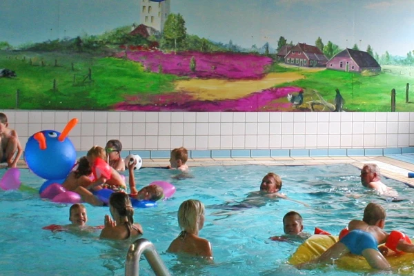sallandshoeve-zwembad